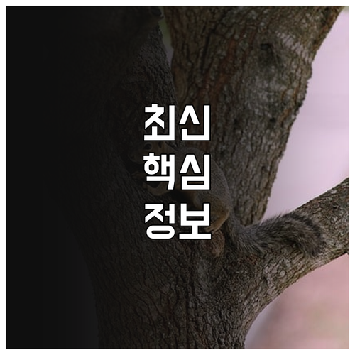 마약 중독 재활 2025 비용 지원 ..
