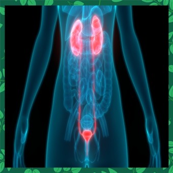 전립선암 초기증상 