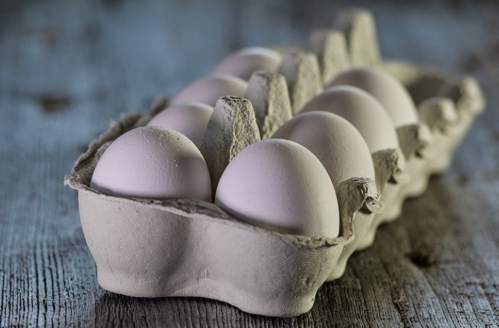 노안과 치매예방에 좋은 음식 완전식품 계란과 같이 먹으면 좋은 석창포 효능, 효과