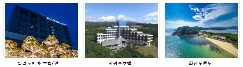 국군복지단 콘도