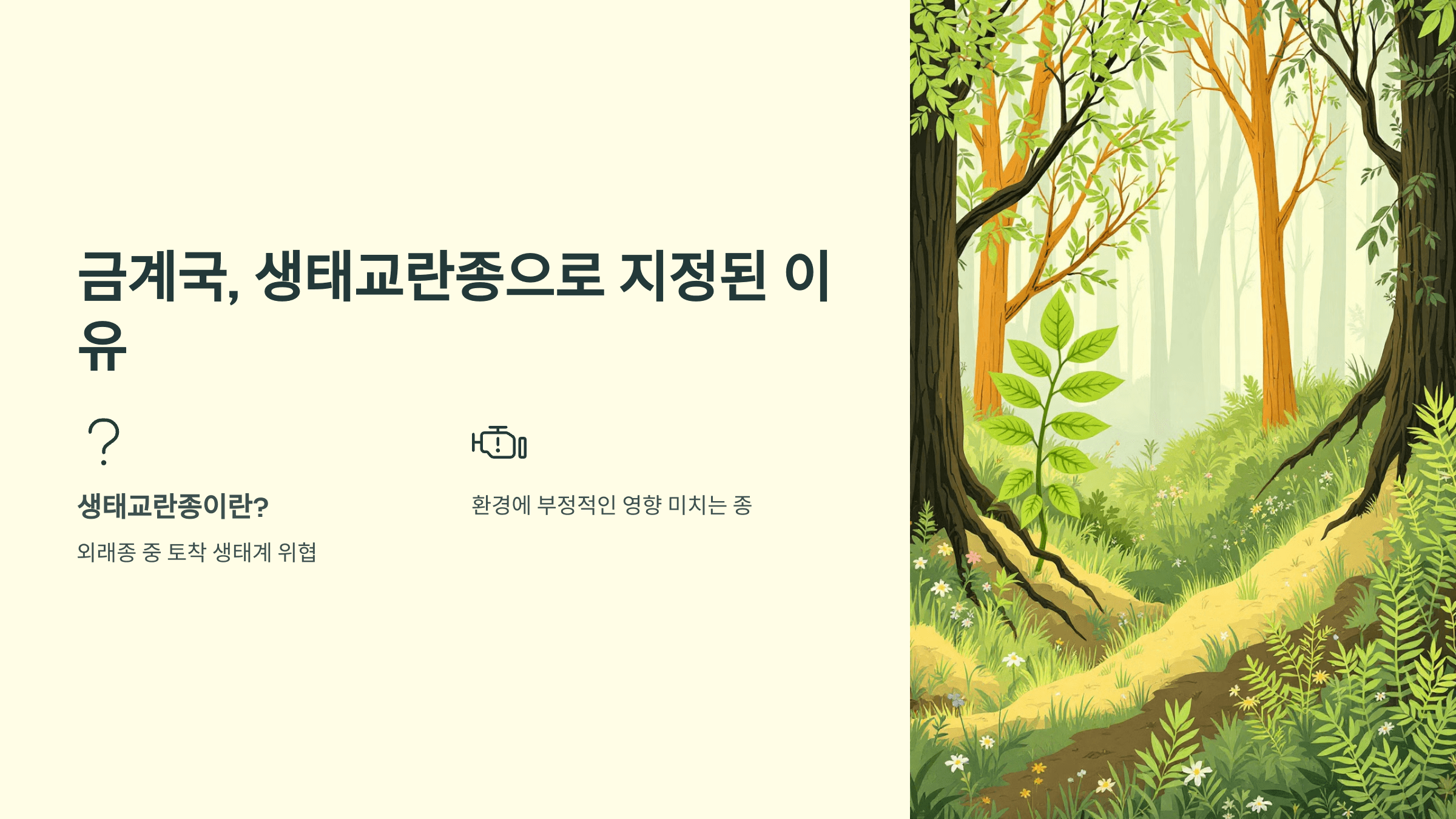 금계국 사진입니다.