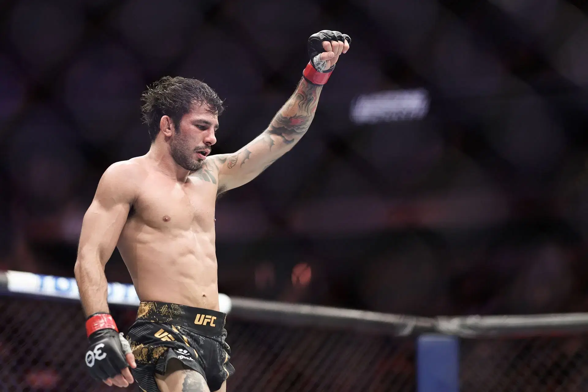 UFC 310 판토자 아사쿠라