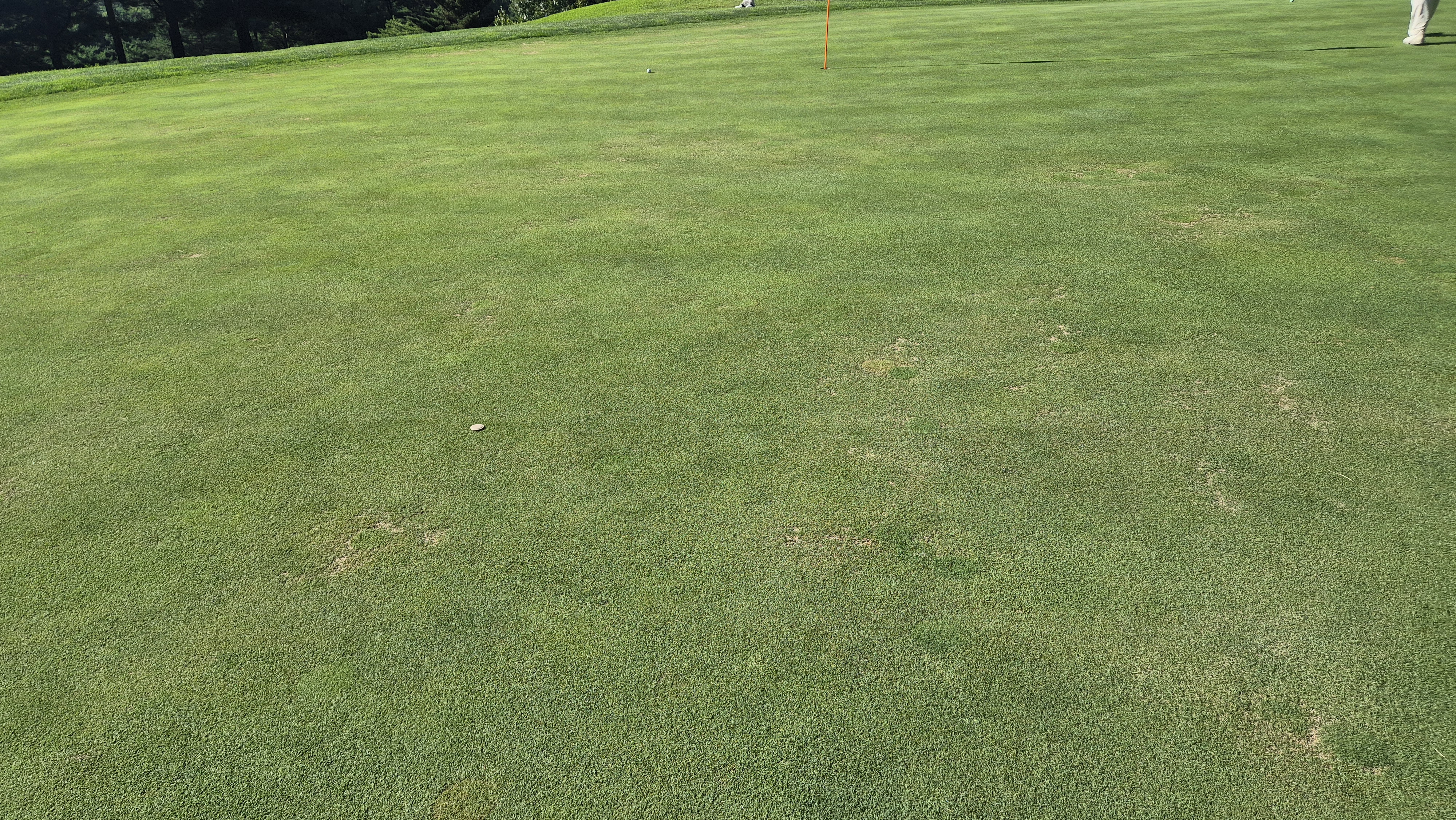 골프존카운티 천안 라운드 후기