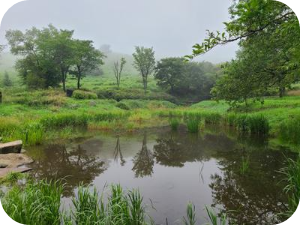 흐린날 황매산 운치 이미지 출처: 황매산 군립공원