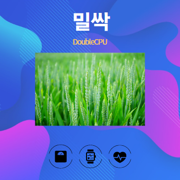 밀싹 알아보기