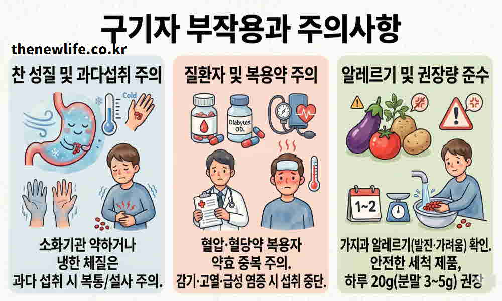 구기자 효능 부작용