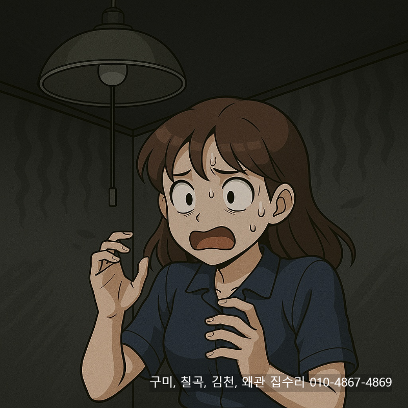 구미, 칠곡, 김천, 왜관_방등, 거실등, 주방등, LED 램프 교체