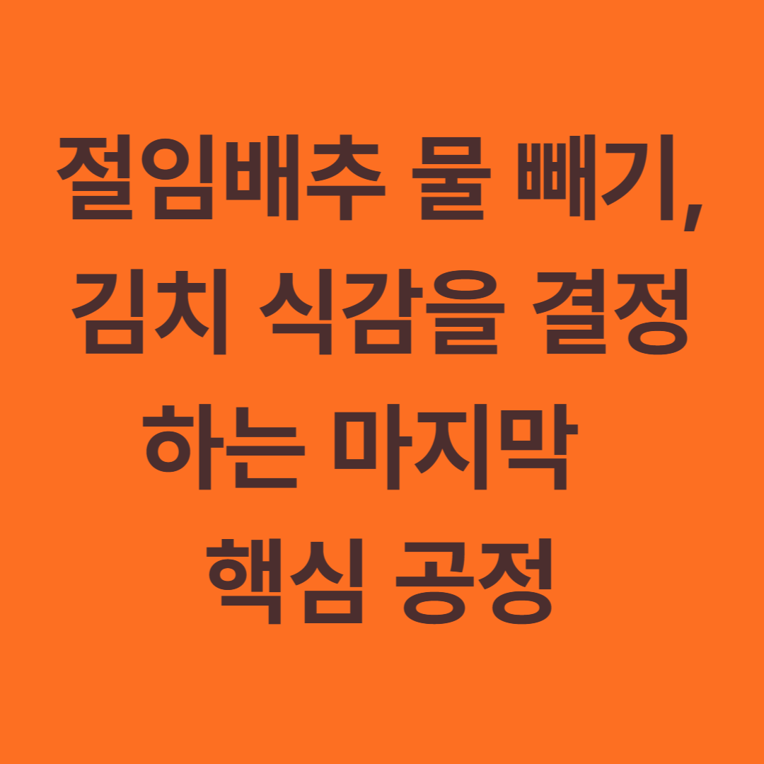 절임배추 물 빼기, 김치 식감을 결정하는 마지막 핵심 공정