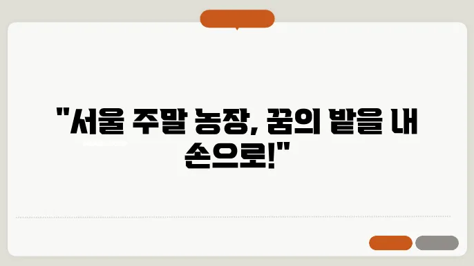 서울시 주말 농장 신청 시 알아야 할 정보