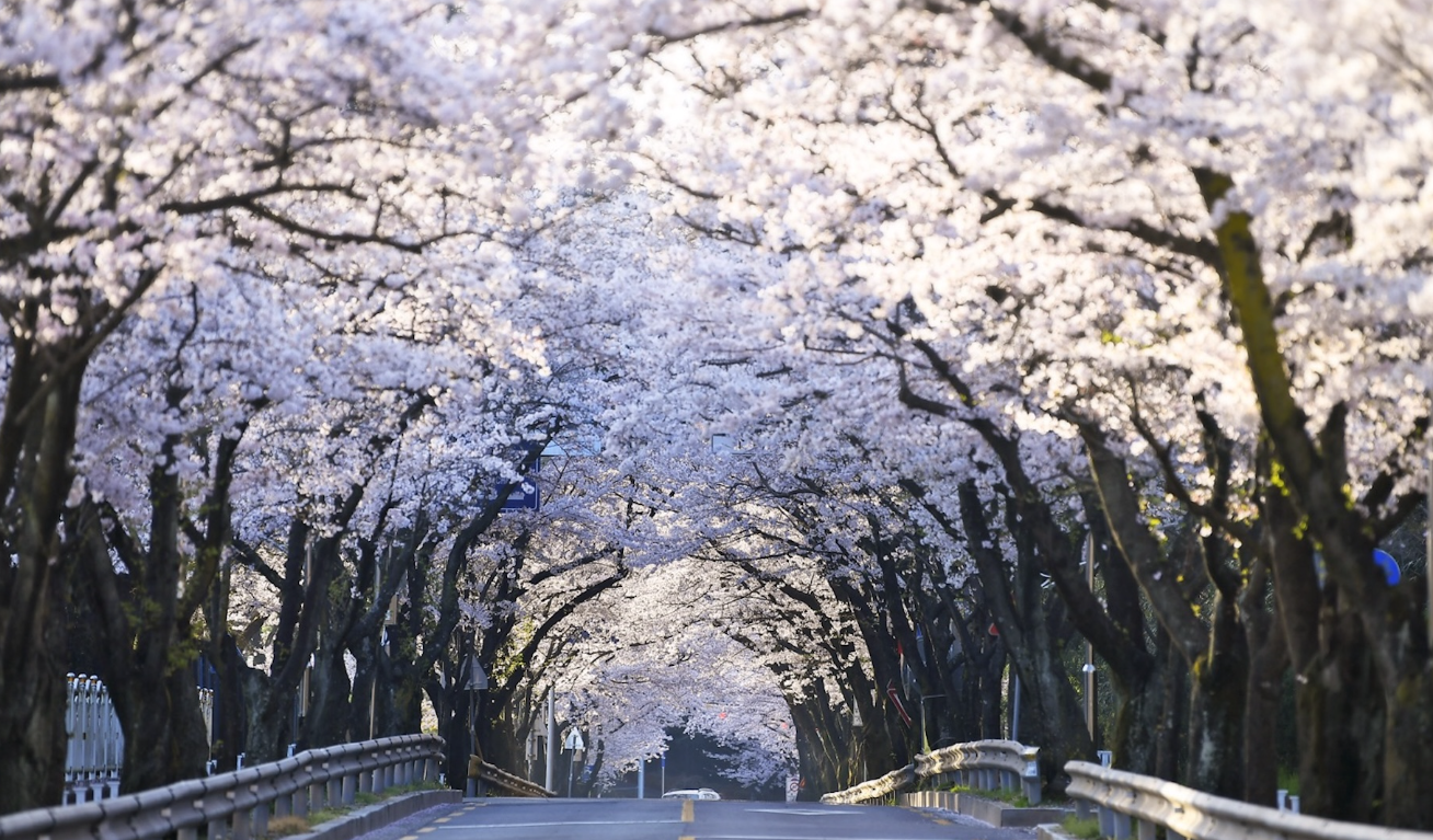 진해 가볼만한곳 베스트10