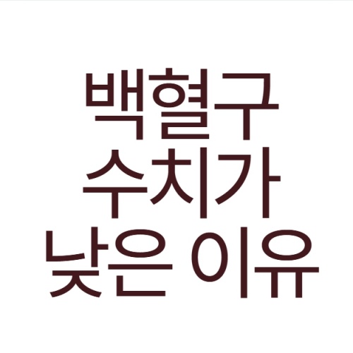 백혈구 수치가 낮은 이유