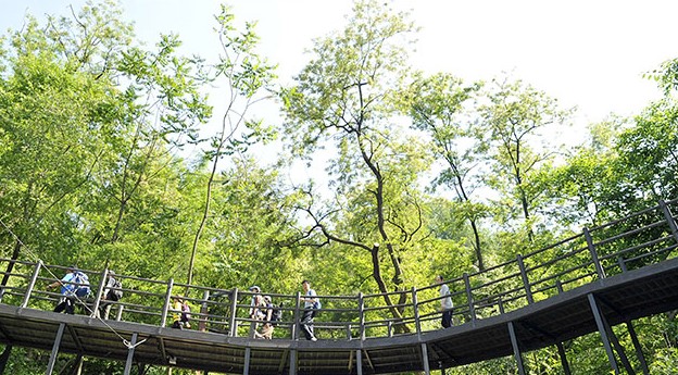 마음을 평화롭게 만들어 주는 안산자락길