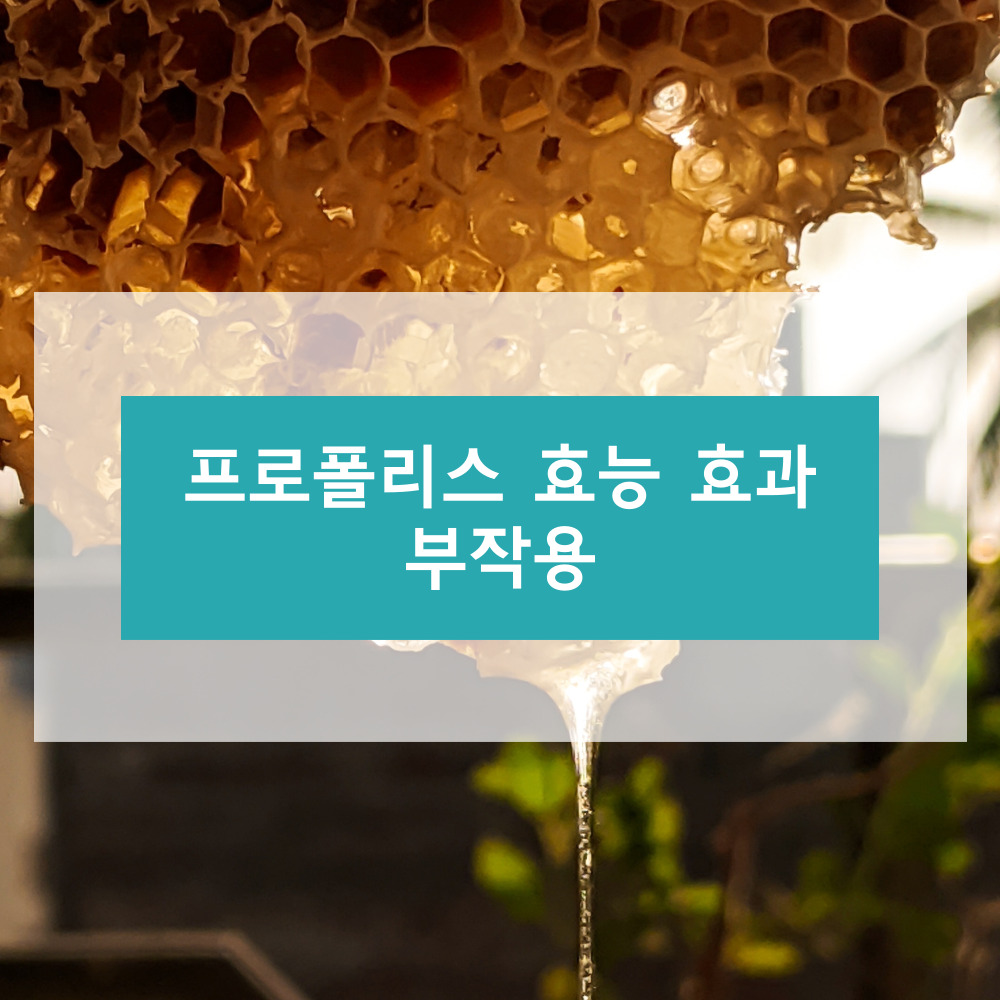 프로폴리스 효능 효과 부작용