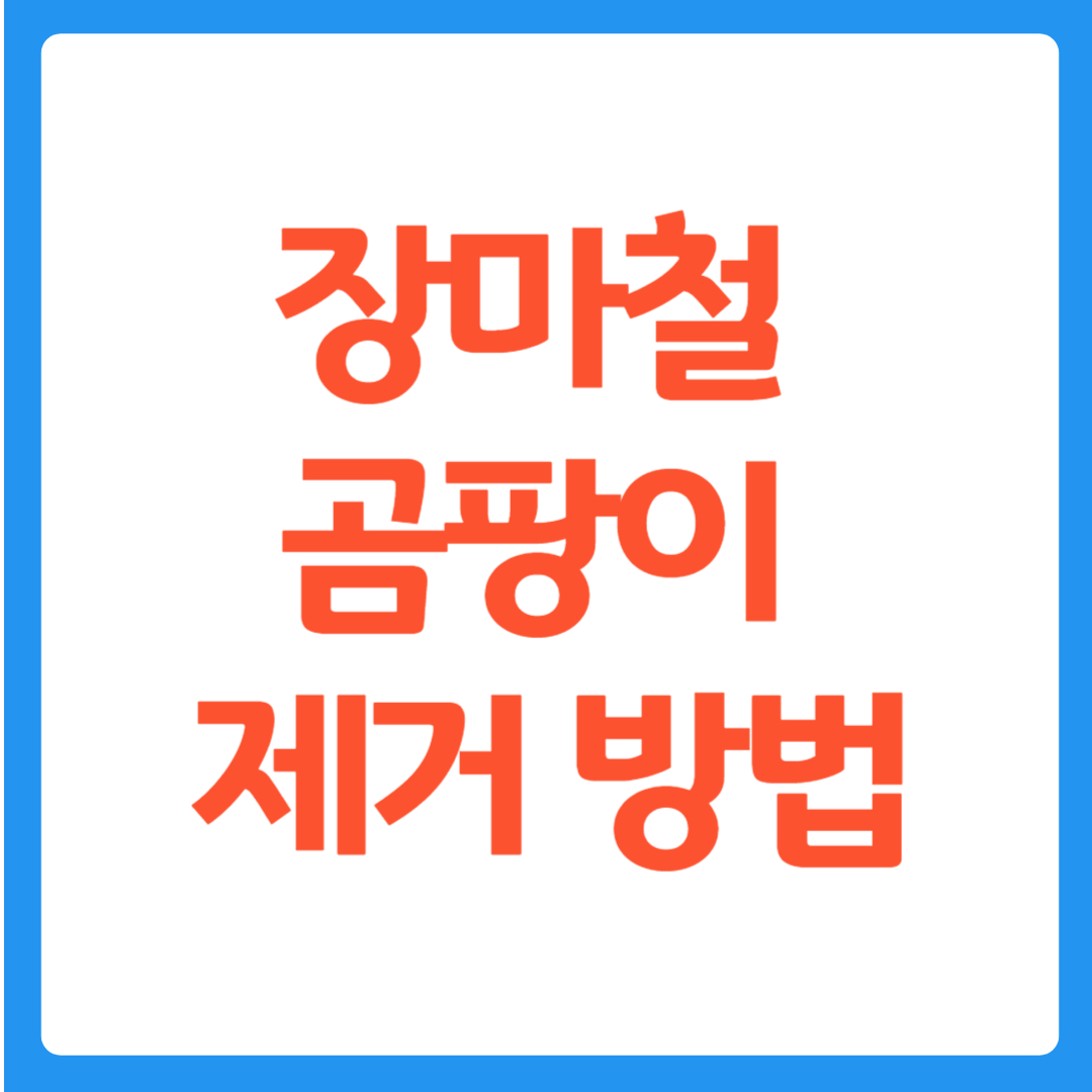 장마철 곰팡이 제거 방법