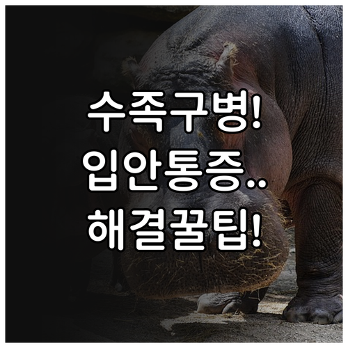 수족구병 입안 통증 줄여주는 음식과 ..