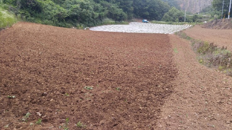 들깨 파종전 토양준비