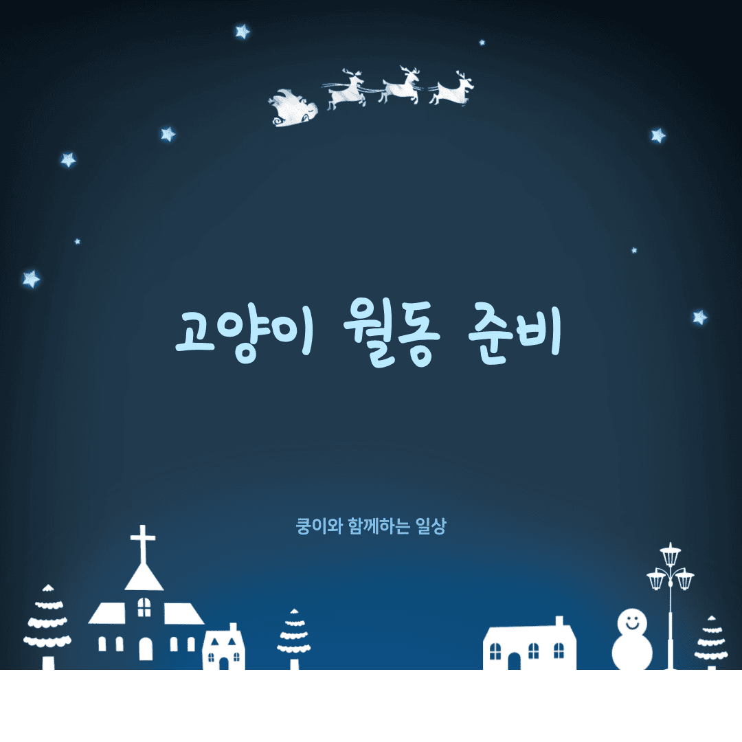 고양이 월동 준비: 온도, 습도, 음수량