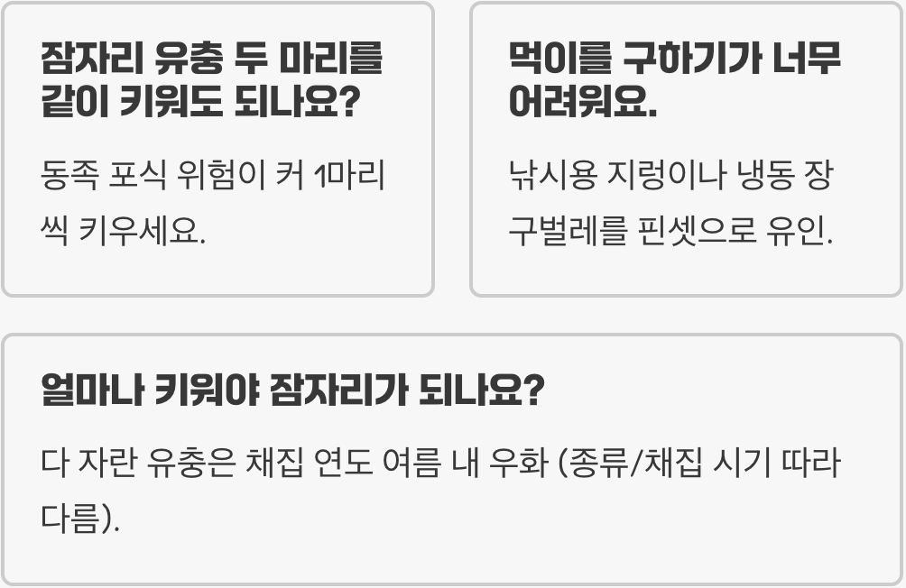 여름 연못의 제왕 밀잠자리 키우기 A to Z (유충 채집부터 성충까지)