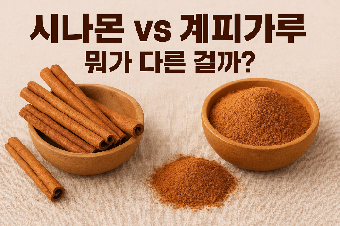 시나몬과 계피가루, 뭐가 다른 걸까?