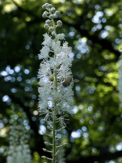 pix_동치미 맛있게 담는법 레시피_39