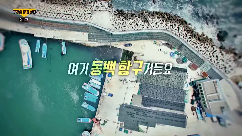 그알 그것이알고싶다 1312회 부산 동백항 고의 차량추락 혼자 산 보험 살인혐의 친오빠 숨진채 발견 동거녀 구속 미스테리 제2의 가평 이은해인가