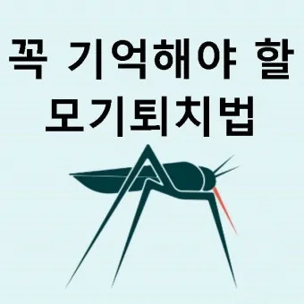 모기 박사님 추천 모기 퇴치법과 여름철 모기 없는 집 만들기 실전 전략_13