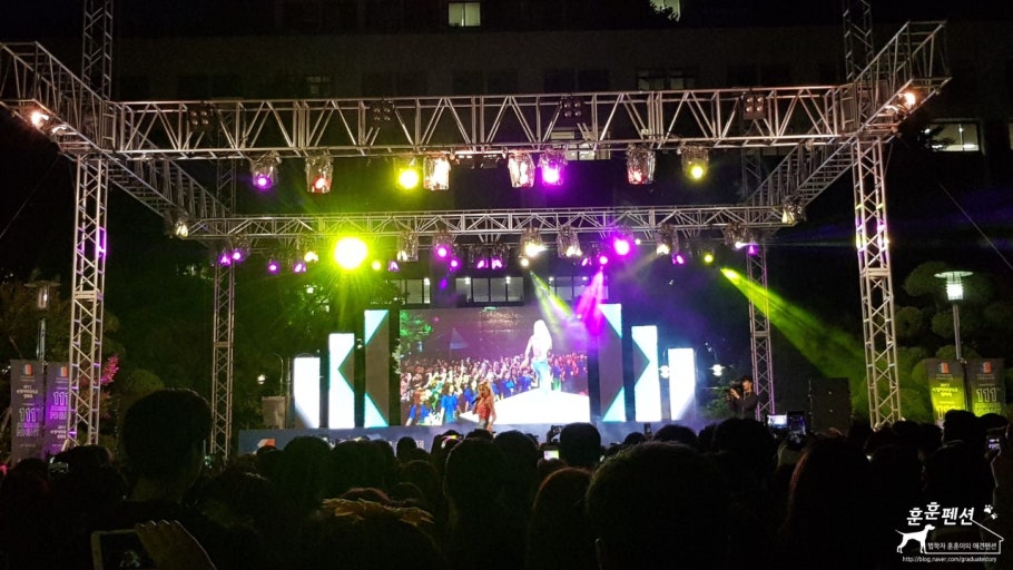 대학교 축제 라인업