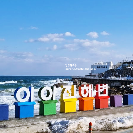 강원도 고성 가볼만한곳 베스트10