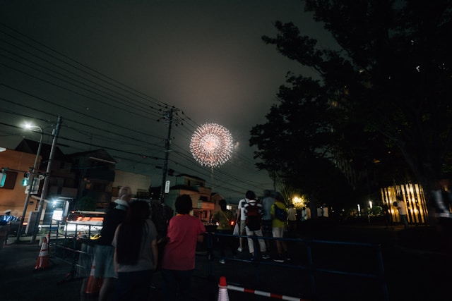 2025 여의도 서울세계불꽃축제 일정