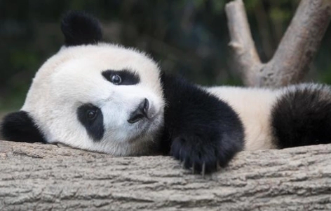 강철원 사육사 프로필 나이 고향 학력 경력