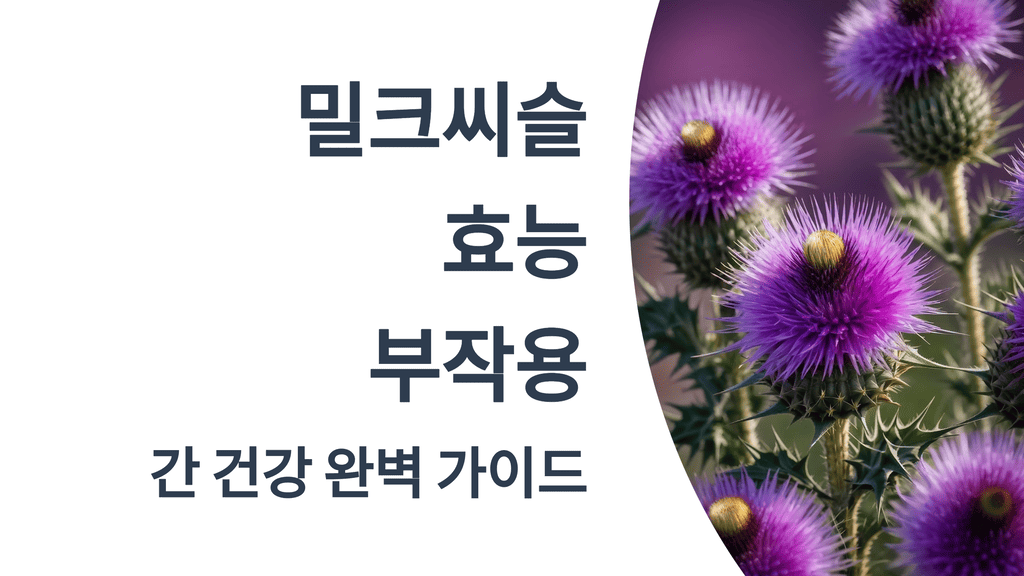 2025년 밀크씨슬 효능과 부작용: 간 건강 완벽 가이드