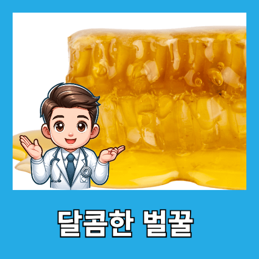 달콤한 벌꿀