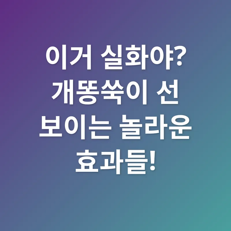 개똥쑥 효능_1