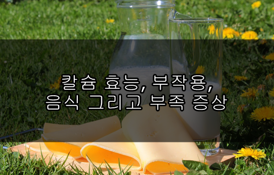 칼슘 효능