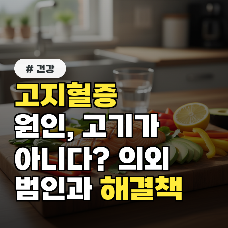 고지혈증 원인, 고기가 아니다 의외의 범인과 해결책