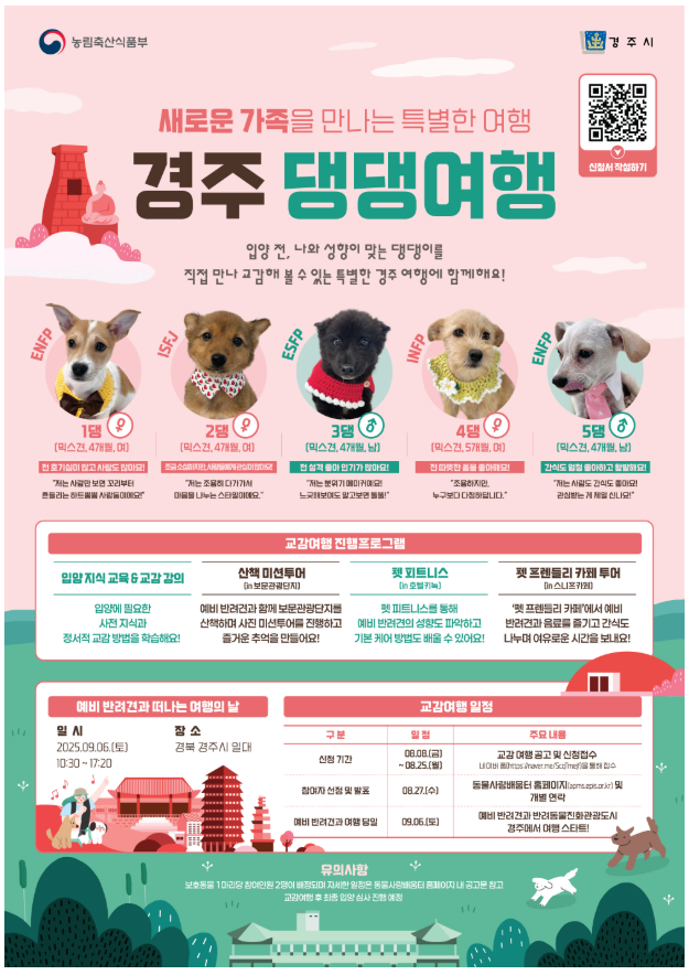 경주 댕댕여행 D-14! 무료 체험 완전 정복
