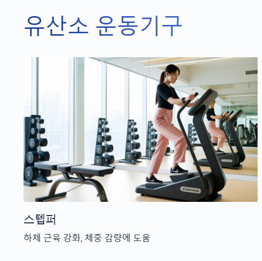 유산소 운동기구