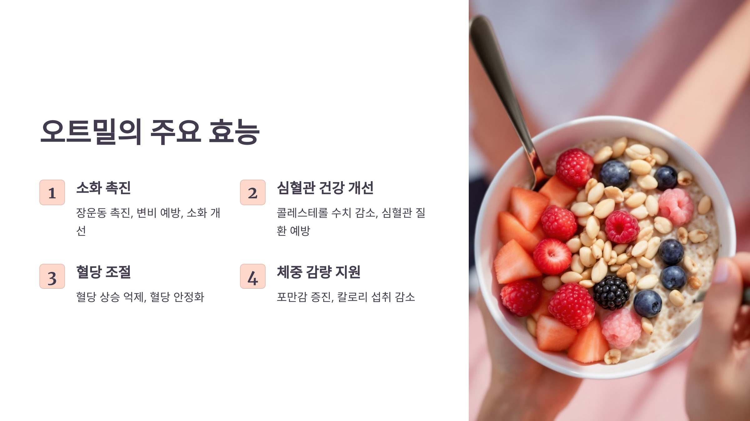 오트밀 사진입니다.