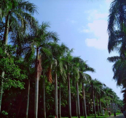 싼야 여행 후기