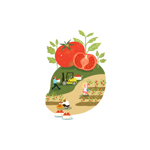 농식품바우처 신청방법 및 사용처 알아보기