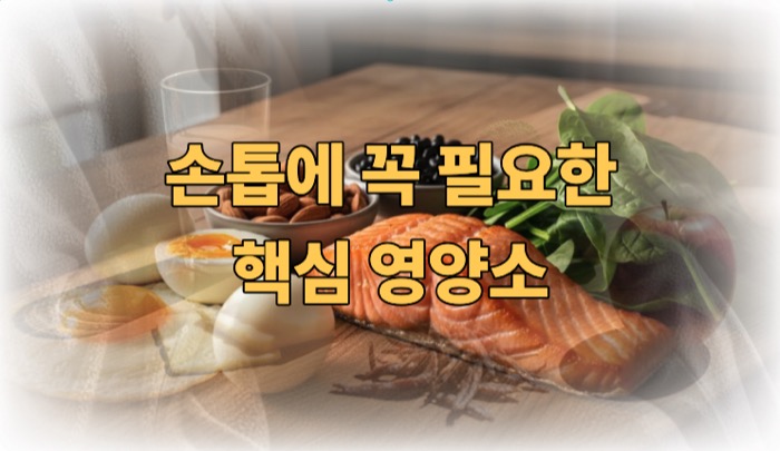 손톱에 좋은 음식 핵심영양소