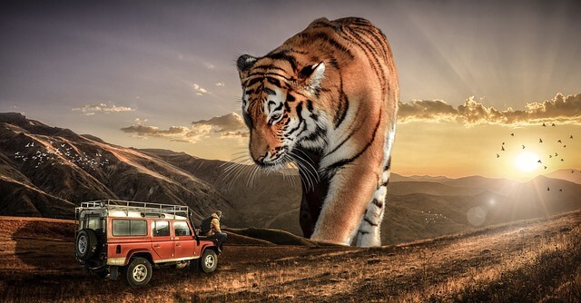 2025년 을사년 2월 운세(3) 호랑이띠,범띠 '그래도 좋지 아니한가?'