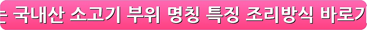 맛있는 국내산 소고기 부위 명칭 특징 조리방식_10