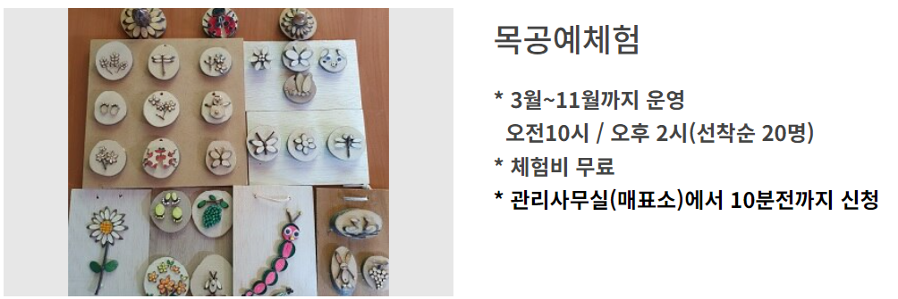 강원 숲체험장