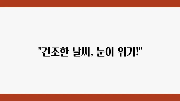 영양제와 함께하는 눈 건강 관리!