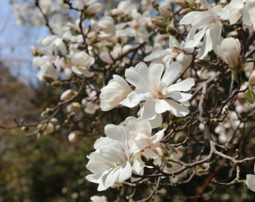 여행1-태안-천리포수목원