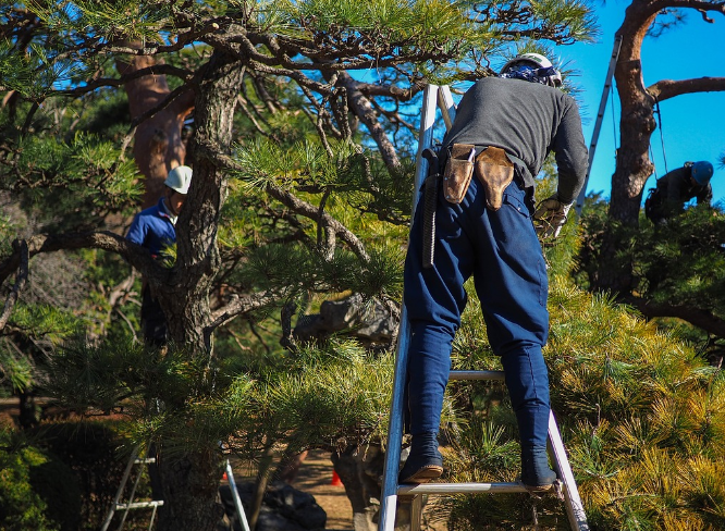 퇴직금 지급규정, 1년 이하, 지급기한 총정리