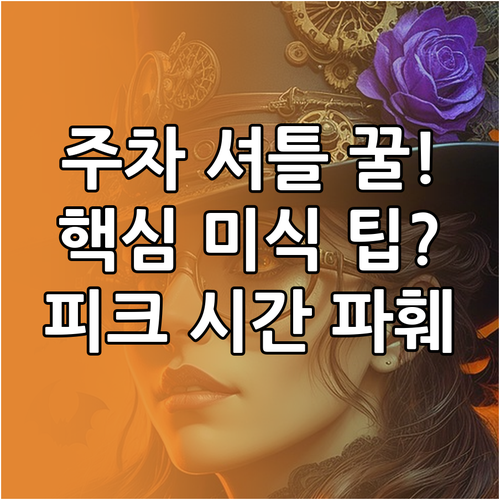 춘천 막국수 닭갈비 축제 주차 셔틀 ..