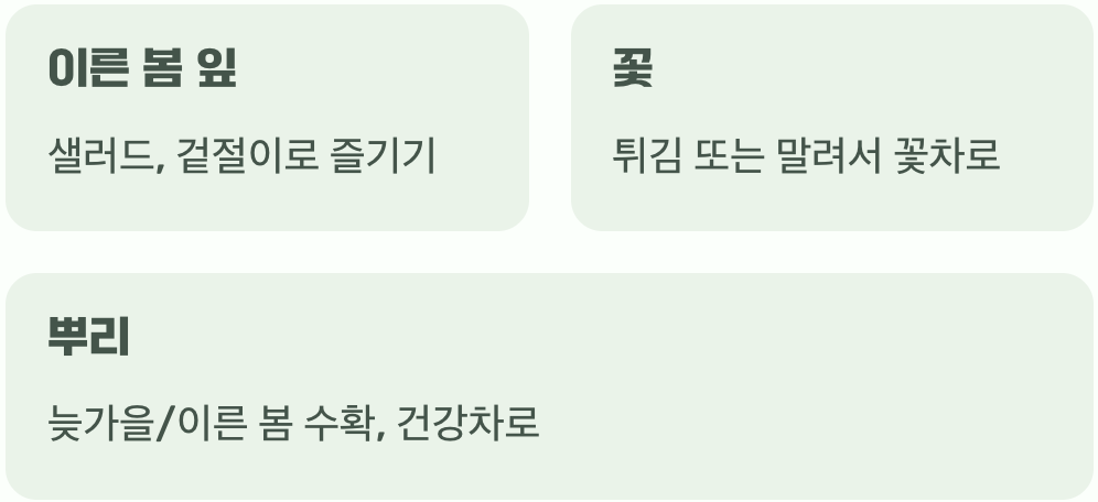 뿌리부터 잎까지, 버릴 것 없는 선물