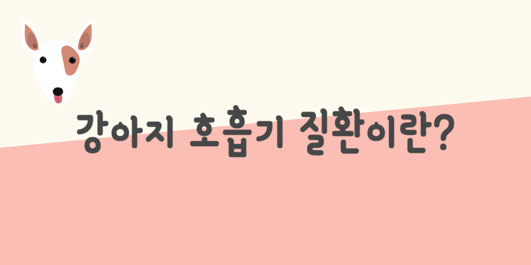 강아지 호흡기 질환이란